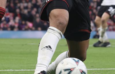 ffc_leg-thumb.jpg