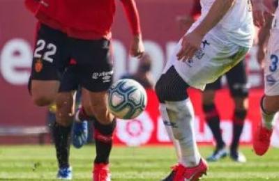 Mallo_alaves-thumb.jpg