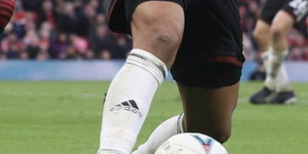 ffc-leg-thumb.jpg